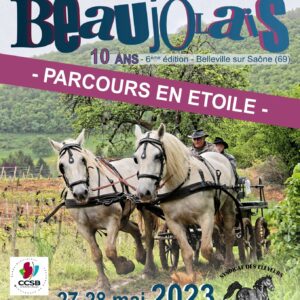 Rallye équestre d'attelage