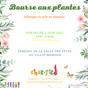 Bourse aux plantes - Villié-Morgon