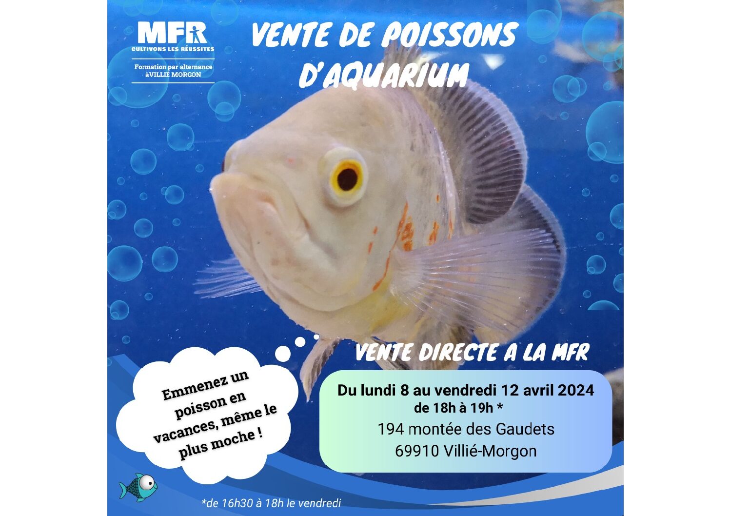 MFR – Vente de poissons d’aquarium